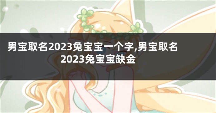 男宝取名2023兔宝宝一个字,男宝取名2023兔宝宝缺金