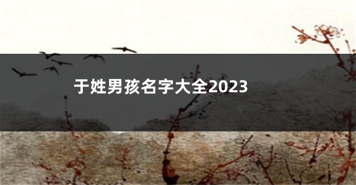 于姓男孩名字大全2023