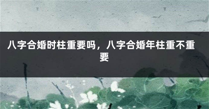 八字合婚时柱重要吗，八字合婚年柱重不重要