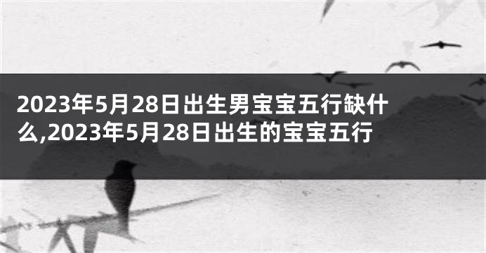 2023年5月28日出生男宝宝五行缺什么,2023年5月28日出生的宝宝五行