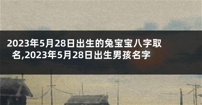 2023年5月28日出生的兔宝宝八字取名,2023年5月28日出生男孩名字