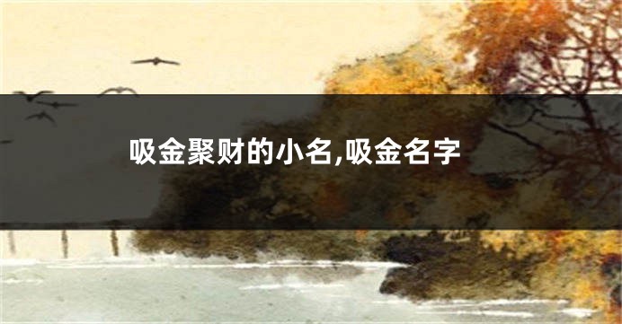 吸金聚财的小名,吸金名字