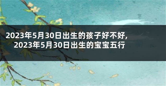 2023年5月30日出生的孩子好不好,2023年5月30日出生的宝宝五行