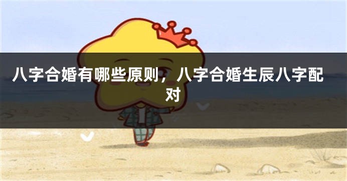 八字合婚有哪些原则，八字合婚生辰八字配对
