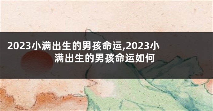 2023小满出生的男孩命运,2023小满出生的男孩命运如何