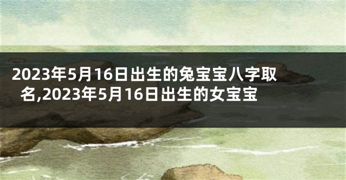 2023年5月16日出生的兔宝宝八字取名,2023年5月16日出生的女宝宝