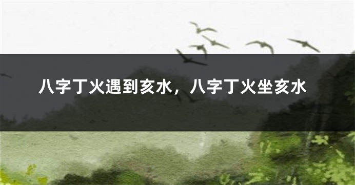 八字丁火遇到亥水，八字丁火坐亥水