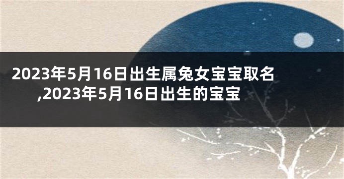 2023年5月16日出生属兔女宝宝取名,2023年5月16日出生的宝宝