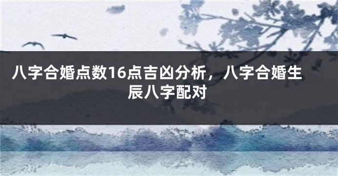 八字合婚点数16点吉凶分析，八字合婚生辰八字配对