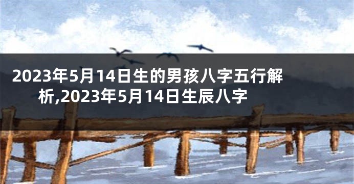 2023年5月14日生的男孩八字五行解析,2023年5月14日生辰八字