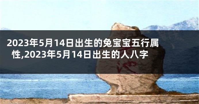 2023年5月14日出生的兔宝宝五行属性,2023年5月14日出生的人八字