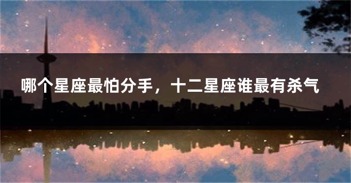 哪个星座最怕分手，十二星座谁最有杀气