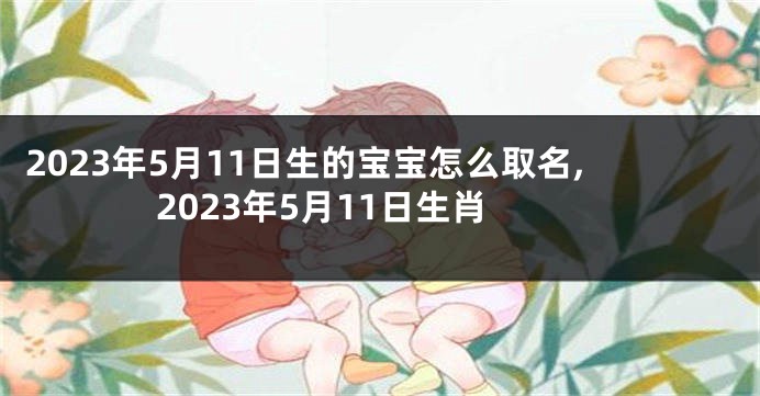 2023年5月11日生的宝宝怎么取名,2023年5月11日生肖