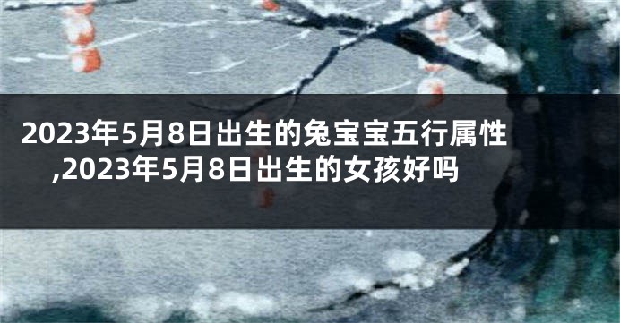 2023年5月8日出生的兔宝宝五行属性,2023年5月8日出生的女孩好吗