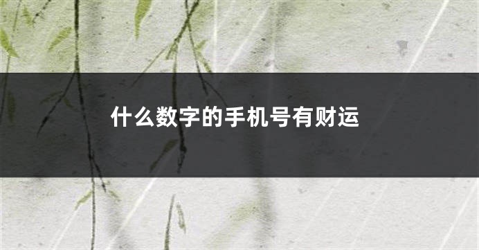 什么数字的手机号有财运