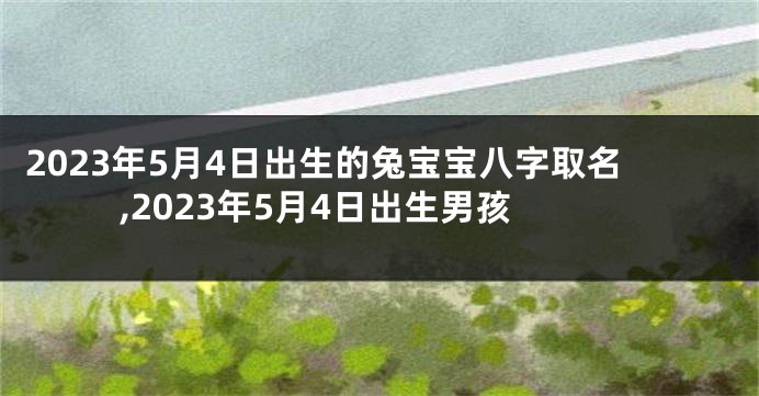 2023年5月4日出生的兔宝宝八字取名,2023年5月4日出生男孩