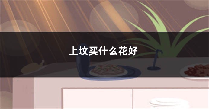 上坟买什么花好