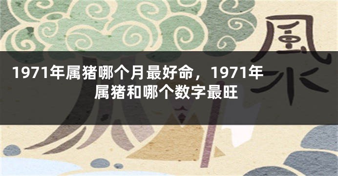 1971年属猪哪个月最好命，1971年属猪和哪个数字最旺