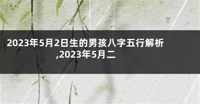 2023年5月2日生的男孩八字五行解析,2023年5月二