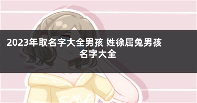 2023年取名字大全男孩 姓徐属兔男孩名字大全