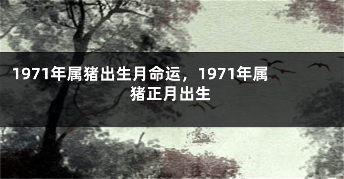 1971年属猪出生月命运，1971年属猪正月出生