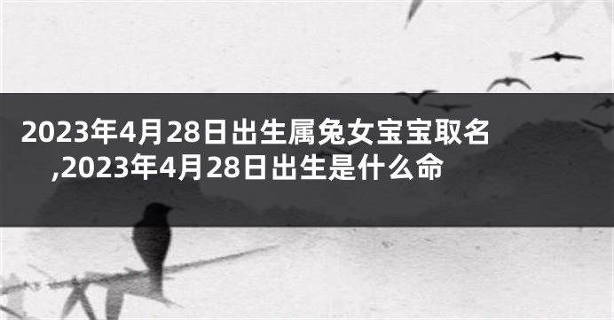 2023年4月28日出生属兔女宝宝取名,2023年4月28日出生是什么命