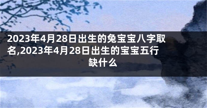 2023年4月28日出生的兔宝宝八字取名,2023年4月28日出生的宝宝五行缺什么