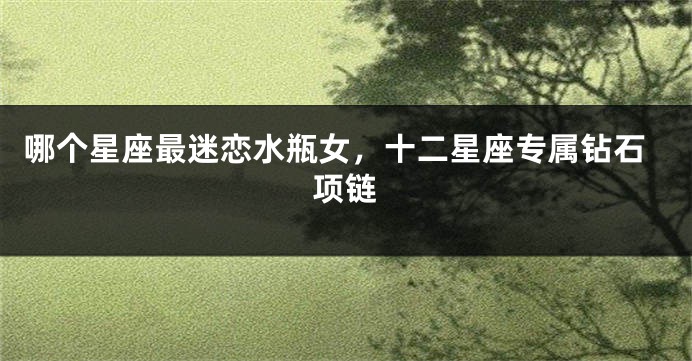 哪个星座最迷恋水瓶女，十二星座专属钻石项链