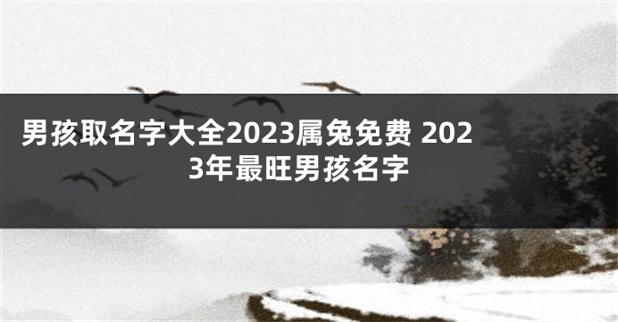 男孩取名字大全2023属兔免费 2023年最旺男孩名字