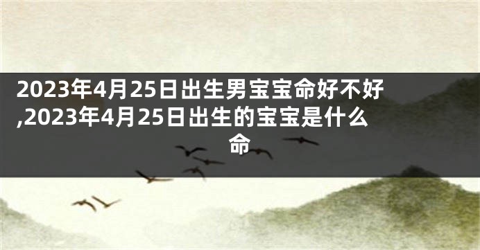 2023年4月25日出生男宝宝命好不好,2023年4月25日出生的宝宝是什么命