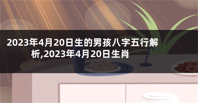 2023年4月20日生的男孩八字五行解析,2023年4月20日生肖