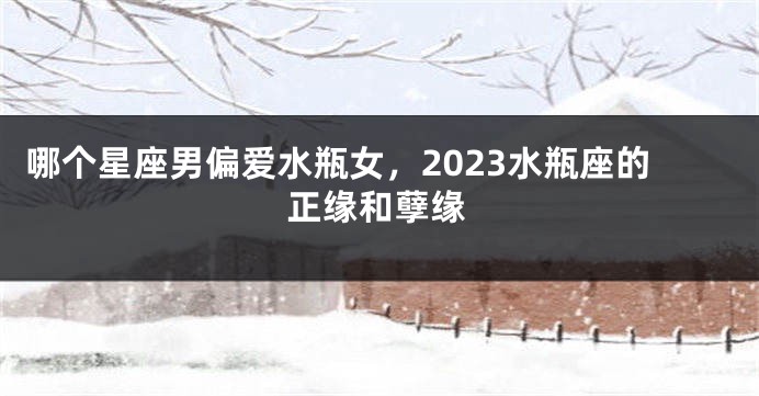 哪个星座男偏爱水瓶女，2023水瓶座的正缘和孽缘