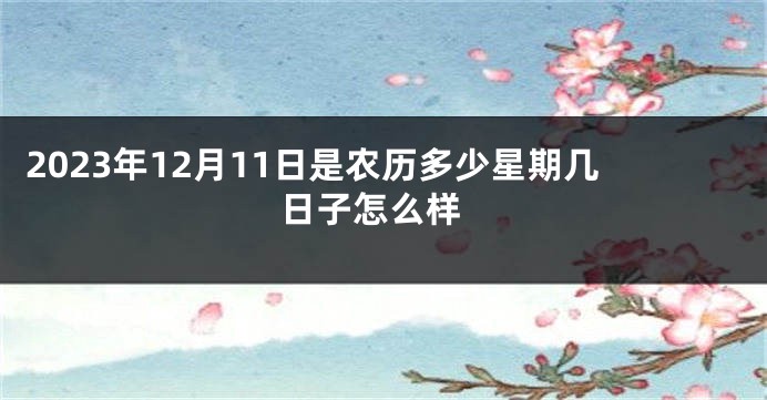 2023年12月11日是农历多少星期几 日子怎么样