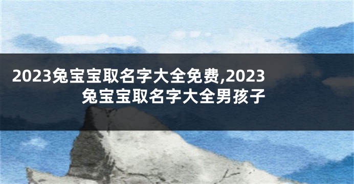 2023兔宝宝取名字大全免费,2023兔宝宝取名字大全男孩子