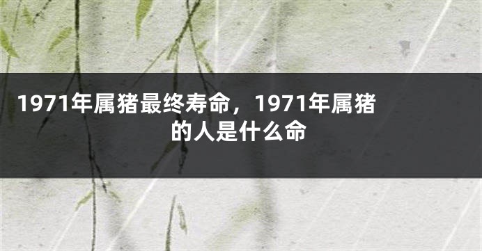 1971年属猪最终寿命，1971年属猪的人是什么命