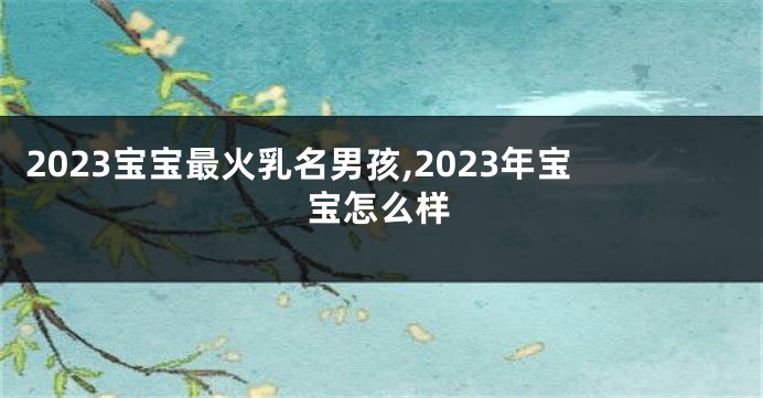 2023宝宝最火乳名男孩,2023年宝宝怎么样