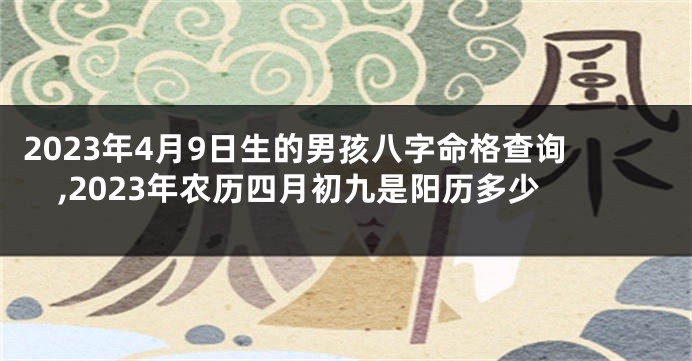 2023年4月9日生的男孩八字命格查询,2023年农历四月初九是阳历多少
