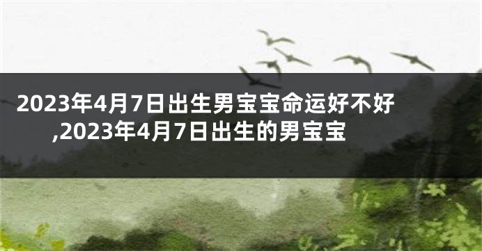 2023年4月7日出生男宝宝命运好不好,2023年4月7日出生的男宝宝