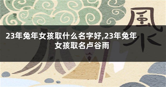 23年兔年女孩取什么名字好,23年兔年女孩取名卢谷雨