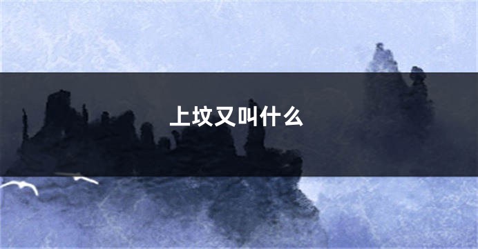 上坟又叫什么