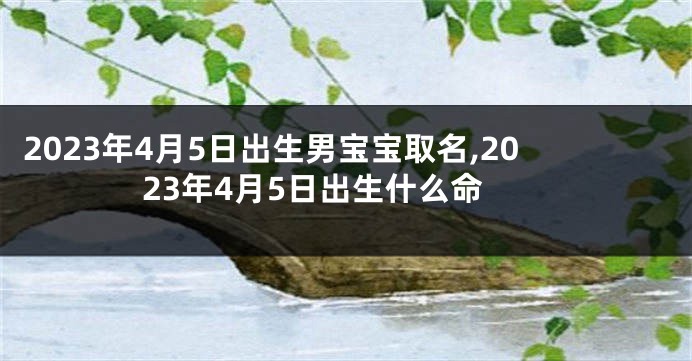 2023年4月5日出生男宝宝取名,2023年4月5日出生什么命