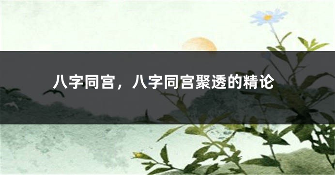 八字同宫，八字同宫聚透的精论
