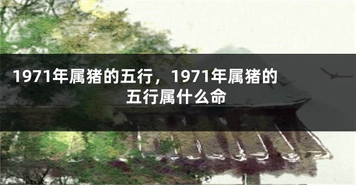 1971年属猪的五行，1971年属猪的五行属什么命