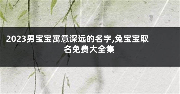 2023男宝宝寓意深远的名字,兔宝宝取名免费大全集
