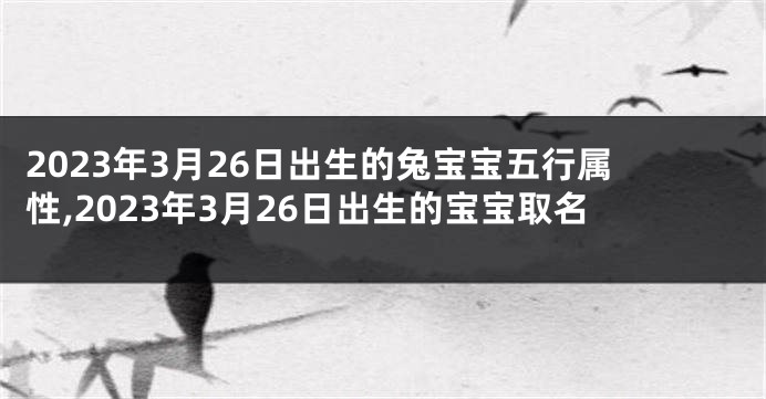 2023年3月26日出生的兔宝宝五行属性,2023年3月26日出生的宝宝取名