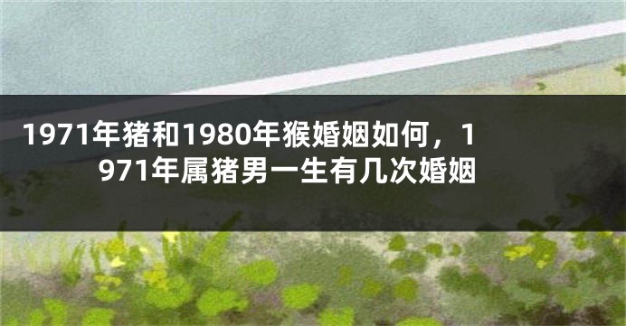1971年猪和1980年猴婚姻如何，1971年属猪男一生有几次婚姻