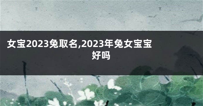 女宝2023兔取名,2023年兔女宝宝好吗