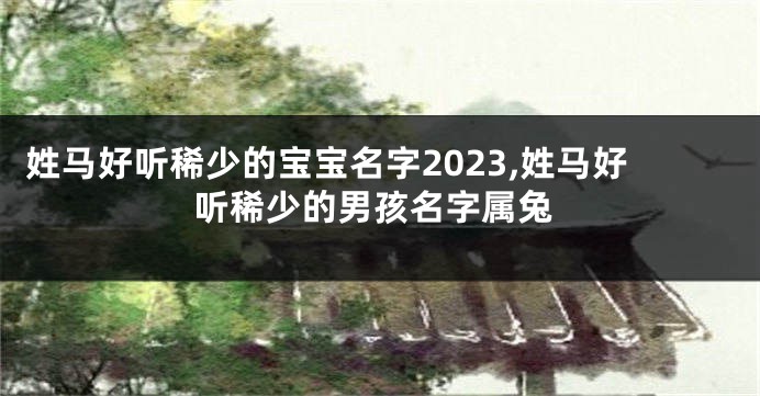 姓马好听稀少的宝宝名字2023,姓马好听稀少的男孩名字属兔