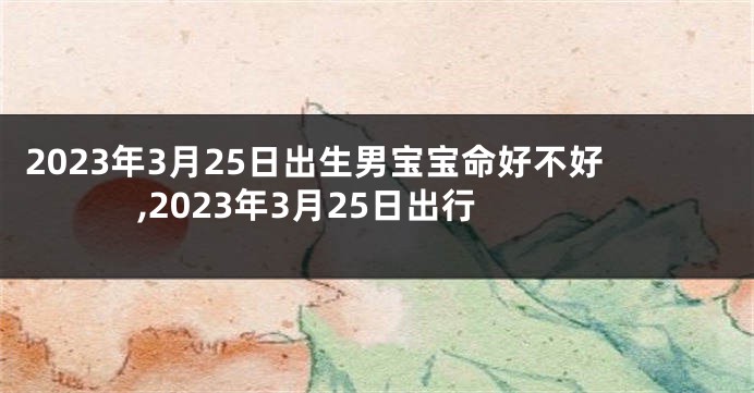 2023年3月25日出生男宝宝命好不好,2023年3月25日出行