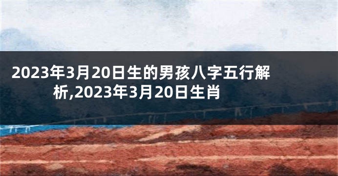 2023年3月20日生的男孩八字五行解析,2023年3月20日生肖